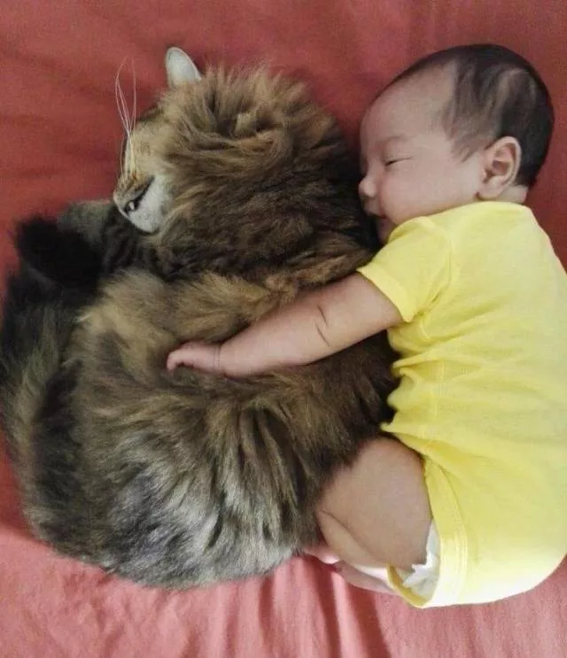 The most extraordinary pictures the week - #60 