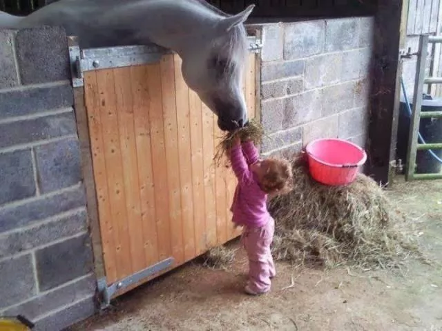 The most extraordinary pictures the week - #7 