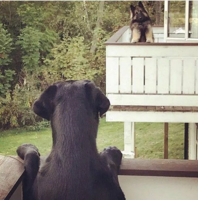 The most extraordinary pictures the week - #8 