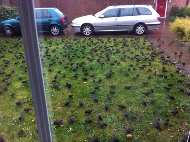 Picdump 365 - #10 