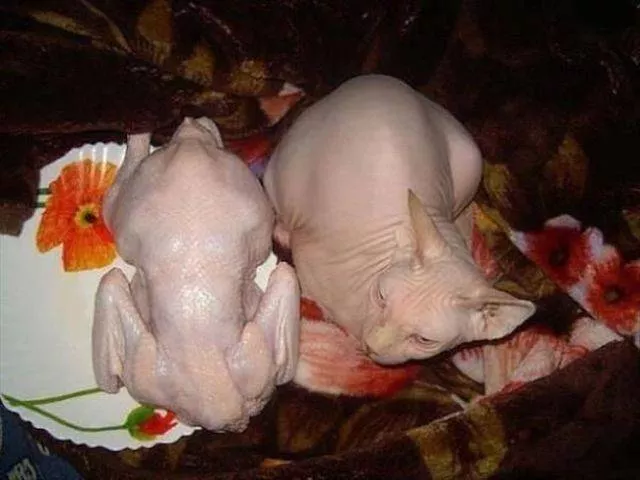 Picdump 365 - #26 