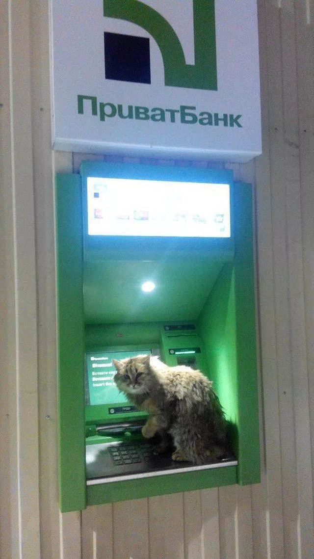 Picdump 365 - #44 