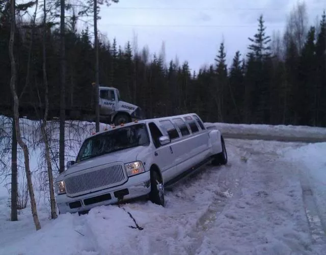 Picdump 365 - #58 