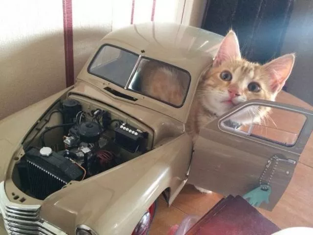Picdump 365 - #68 
