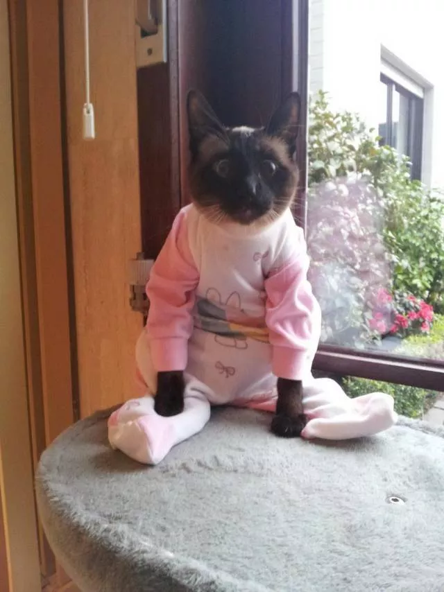 Picdump 365 - #7 