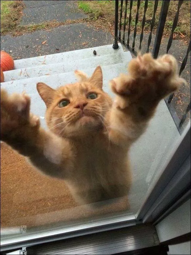 Picdump 365 - #89 Picdump 365 - #89