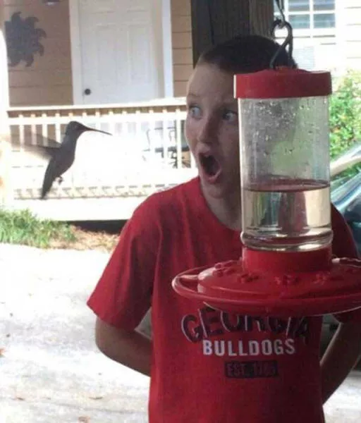 Pictures taken at the right time and place - #16 