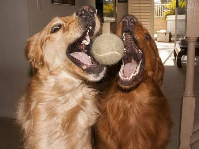 Pictures taken at the right time and place - #26 