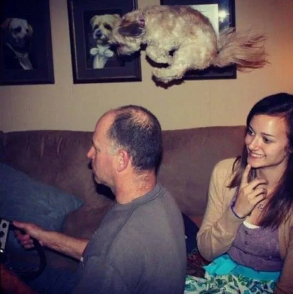 Pictures taken at the right time and place - #3 