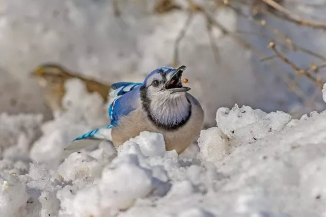 Pictures taken at the right time and place - #37 