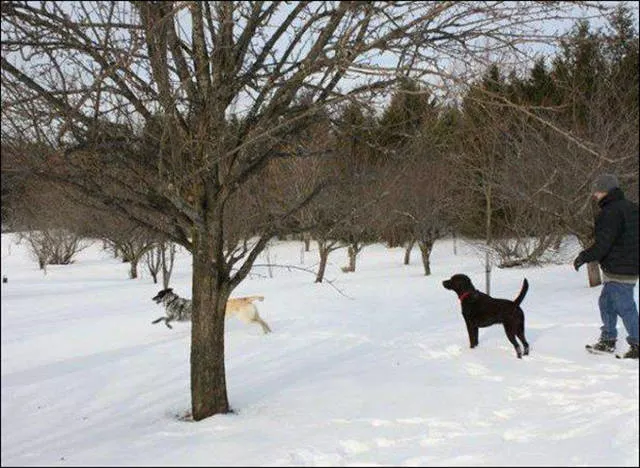 Pictures taken at the right time and place - #53 