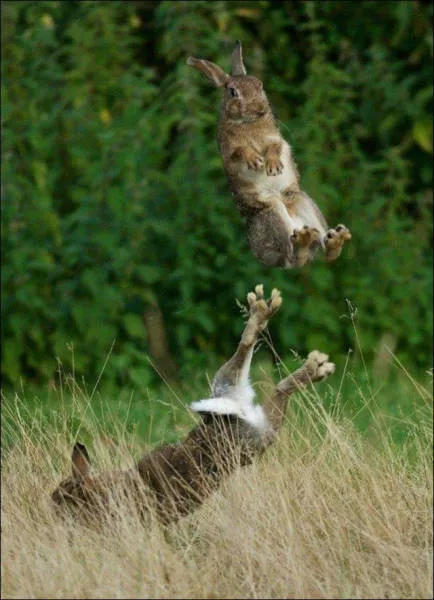 Pictures taken at the right time and place - #57 