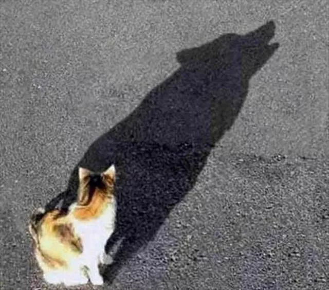 Pictures taken at the right time and place - #6 