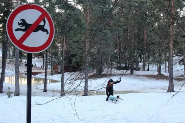 What happens in russia and nowhere else - #31 