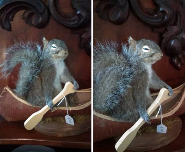 Objets bizarres trouves dans des magasins - #34 