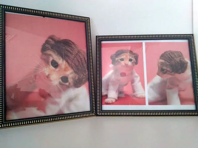 Objets bizarres trouves dans des magasins - #36 
