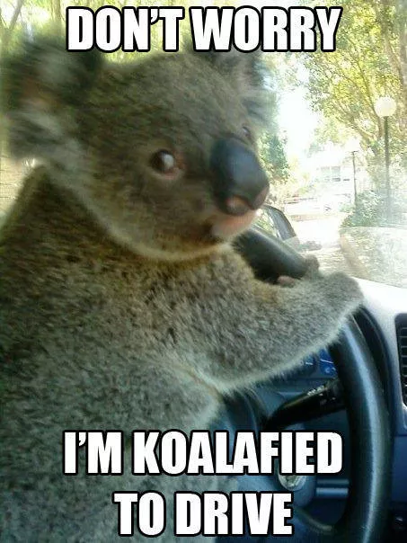 Picdump 366 - #18 
