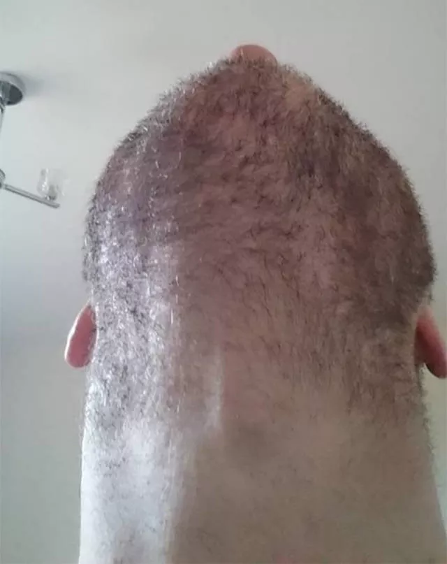 The humor of bearded chins - #13 