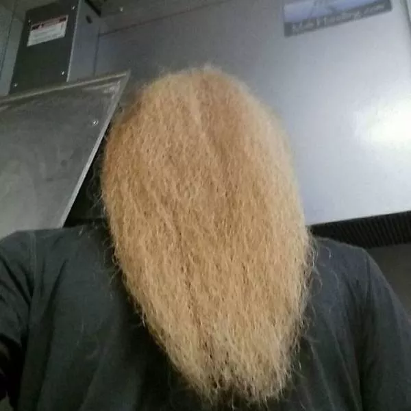 The humor of bearded chins - #15 