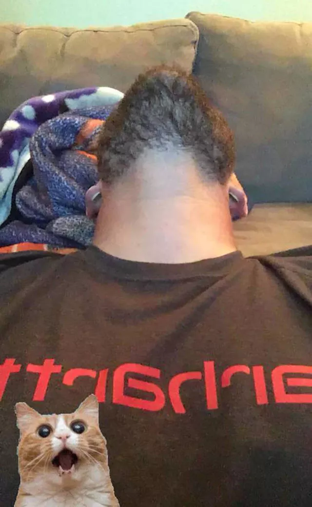 The humor of bearded chins - #17 