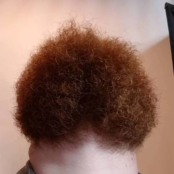 The humor of bearded chins - #18 