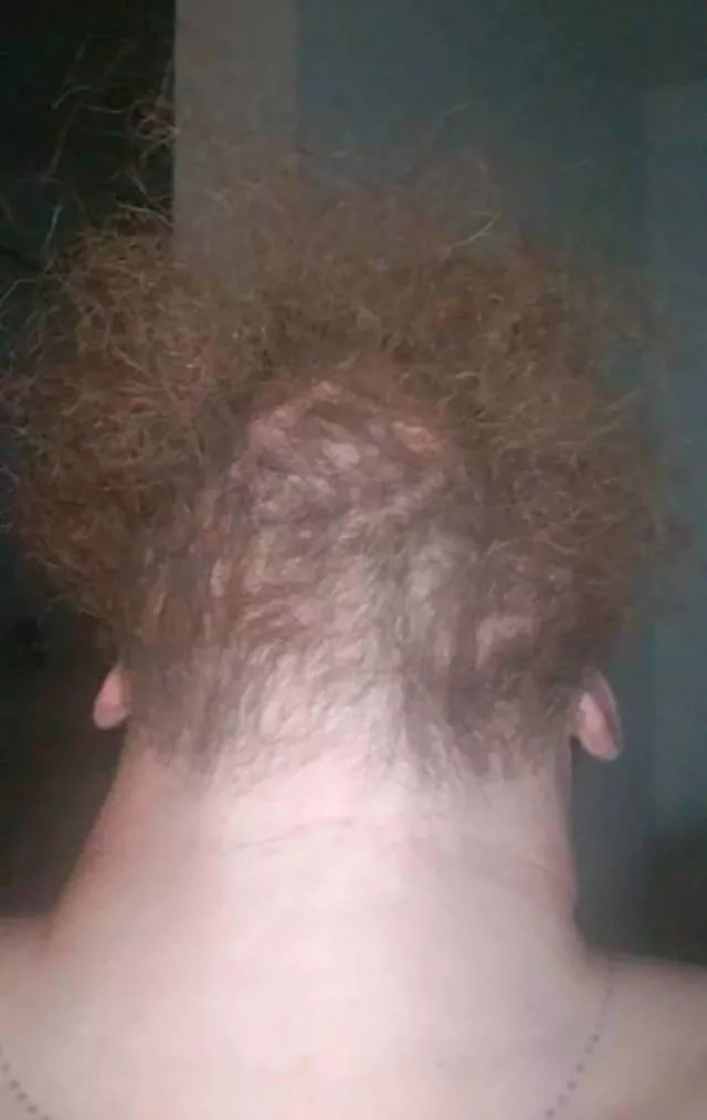 The humor of bearded chins - #20 