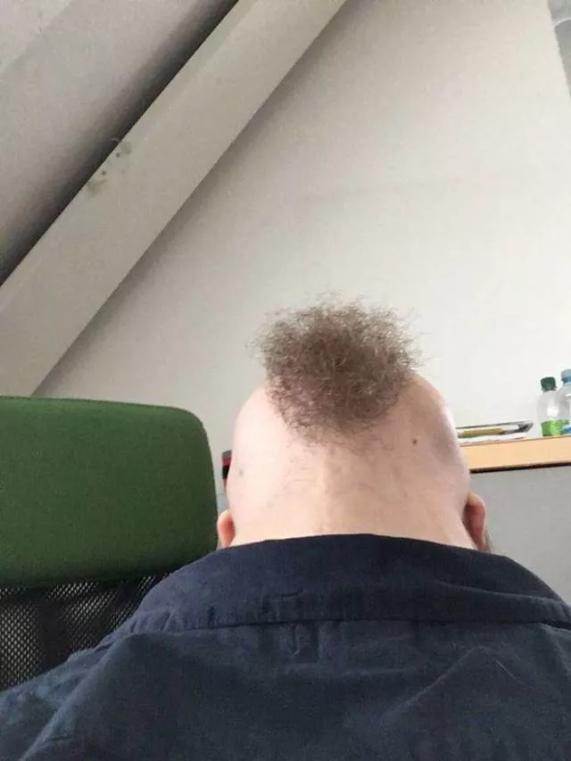 The humor of bearded chins - #25 