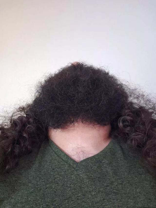 The humor of bearded chins - #26 