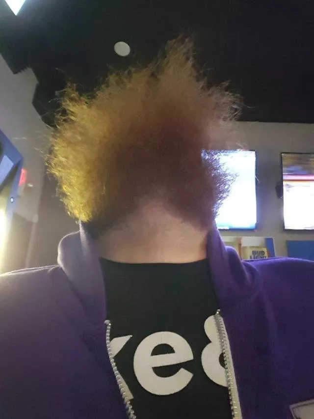 The humor of bearded chins - #3 