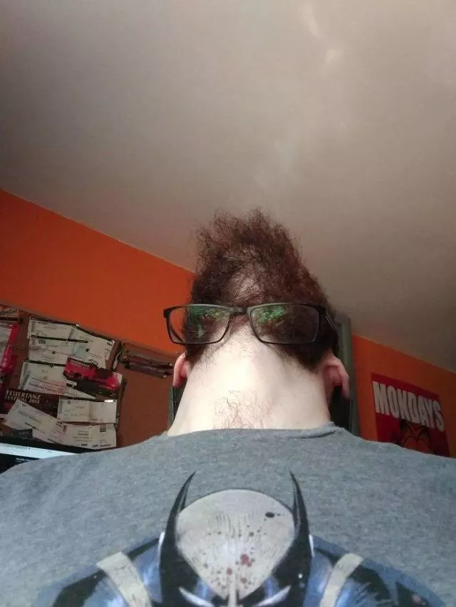 The humor of bearded chins - #30 