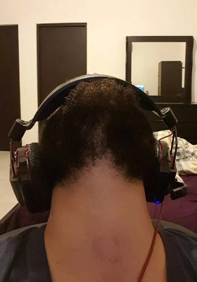 The humor of bearded chins - #32 