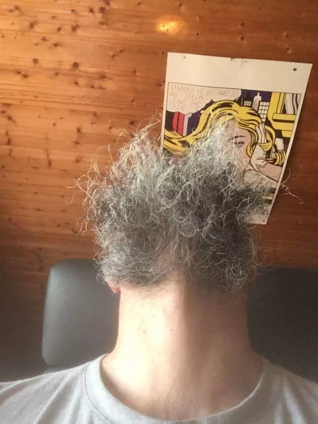 The humor of bearded chins - #36 