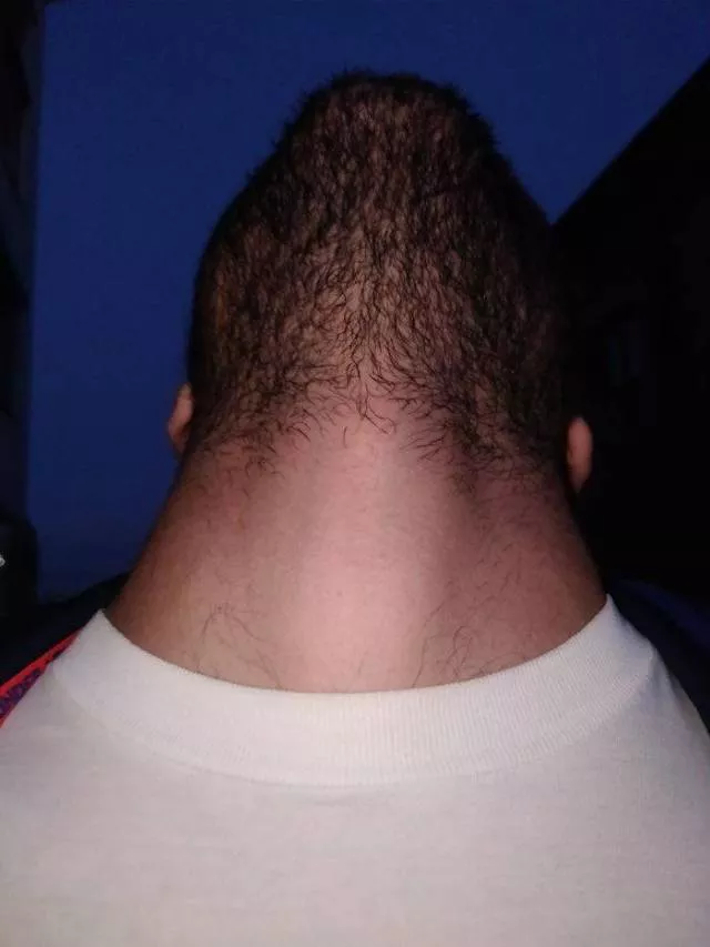 The humor of bearded chins - #37 