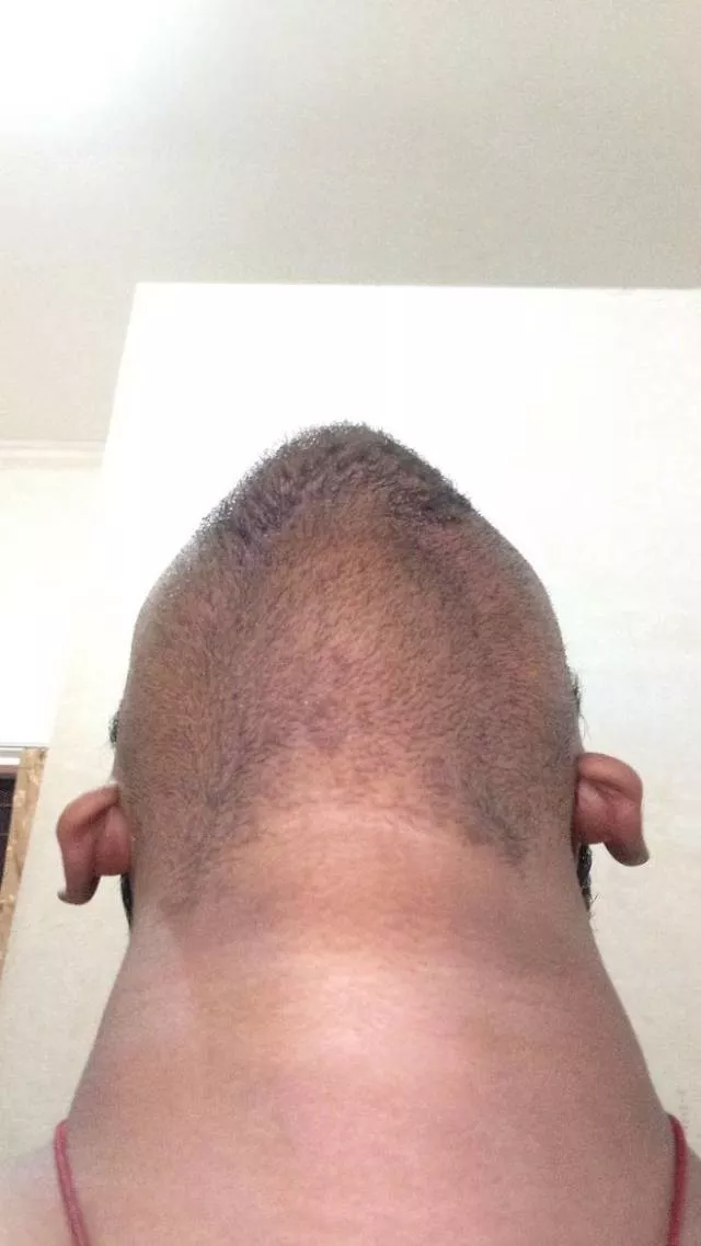 The humor of bearded chins - #38 