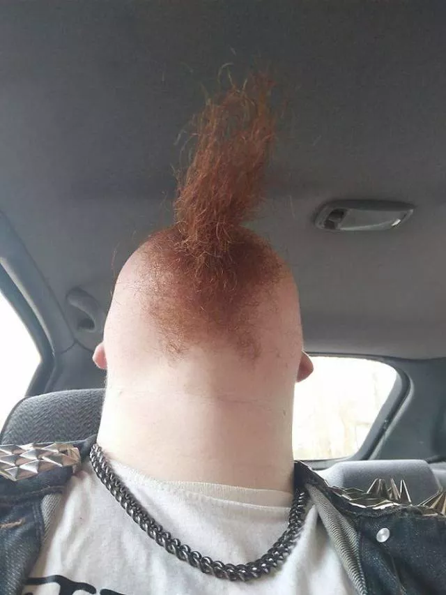 The humor of bearded chins - #4 