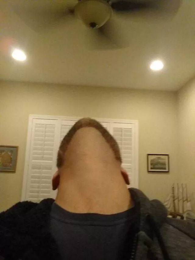 The humor of bearded chins - #40 