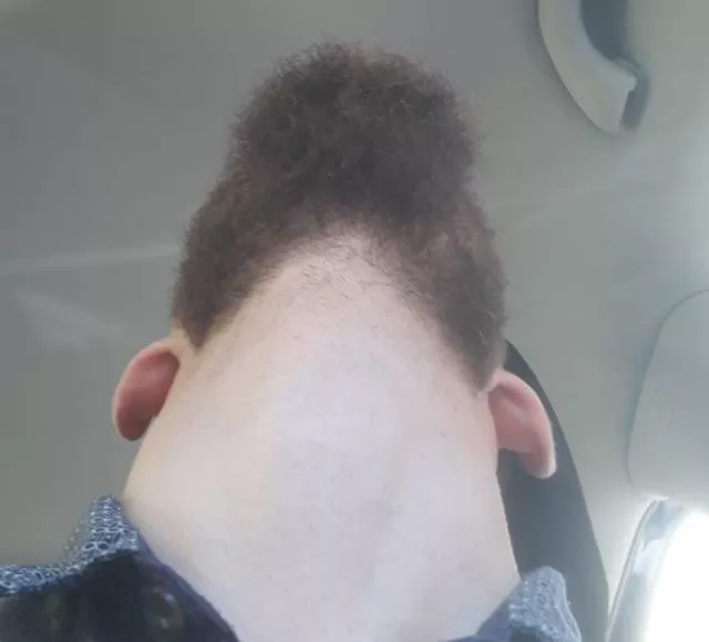 The humor of bearded chins - #5 