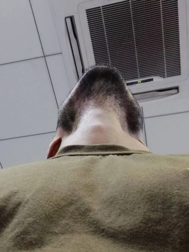 The humor of bearded chins - #7 