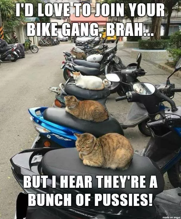 Picdump 367 - #30 