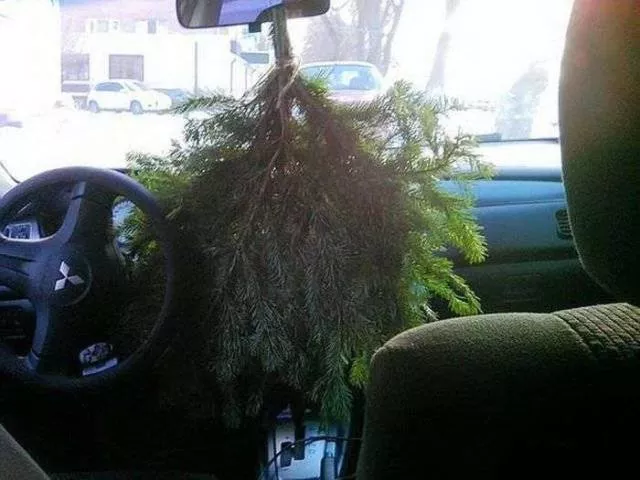 Picdump 368 - #107 