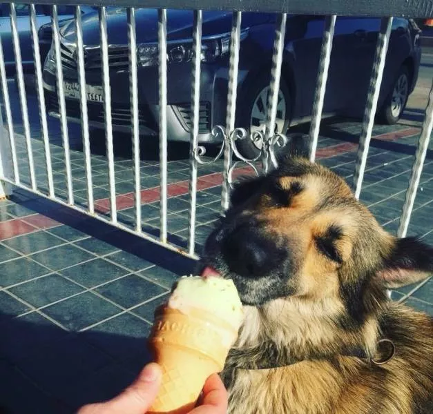 Picdump 368 - #108 