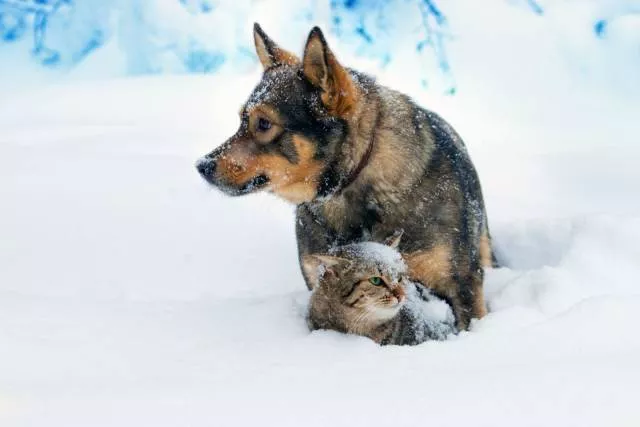 Picdump 368 - #11 