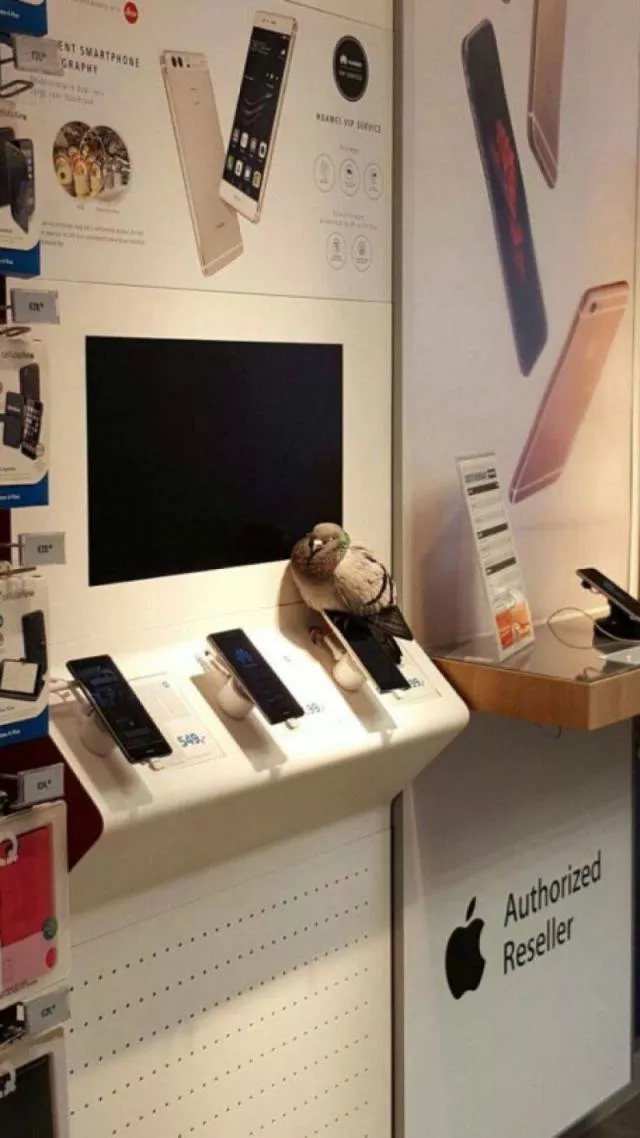 Picdump 368 - #22 