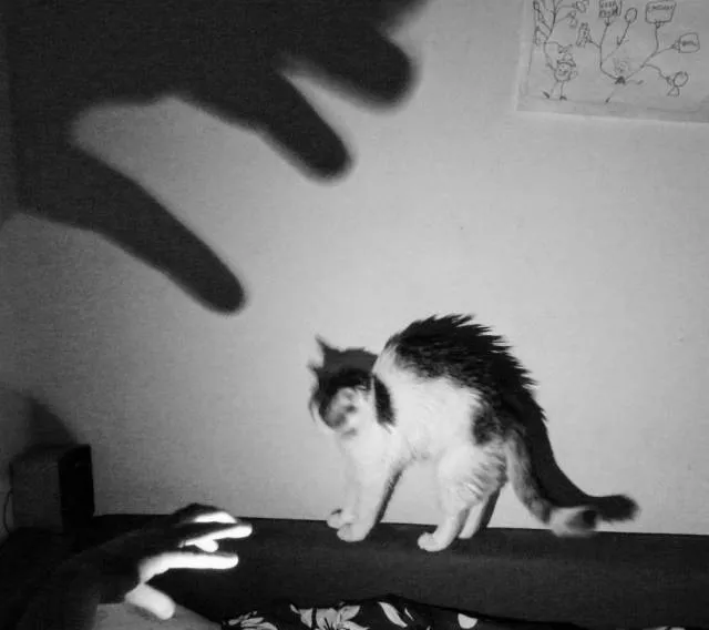 Picdump 368 - #32 