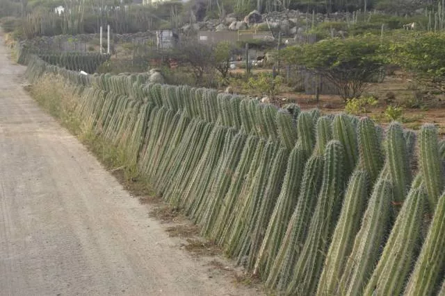 Picdump 368 - #46 
