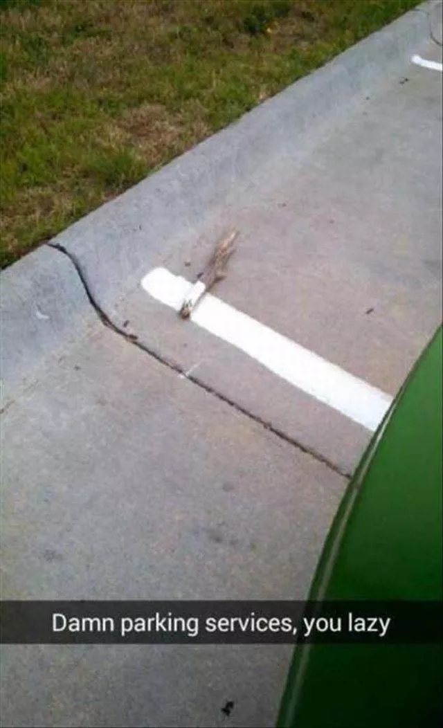 Picdump 368 - #69 
