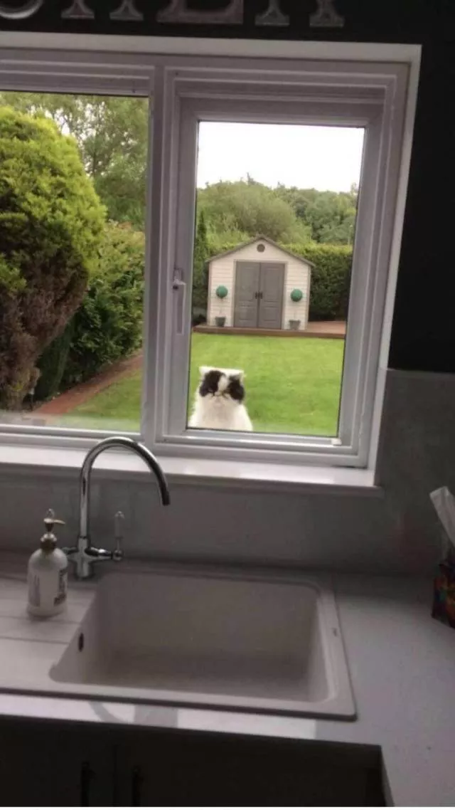 Picdump 368 - #8 