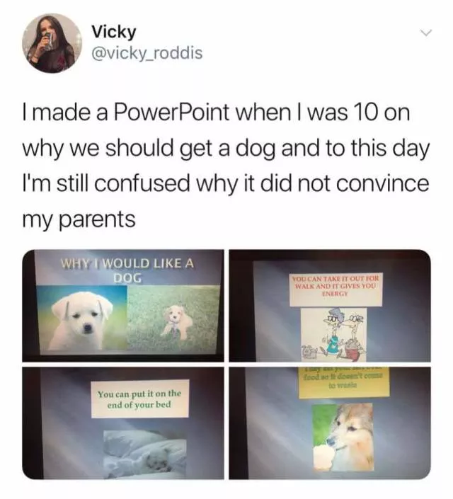 Picdump 369 - #12 