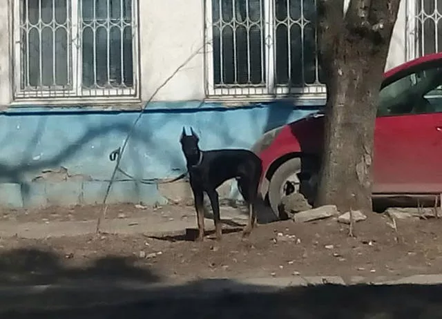 Picdump 68 - #14 