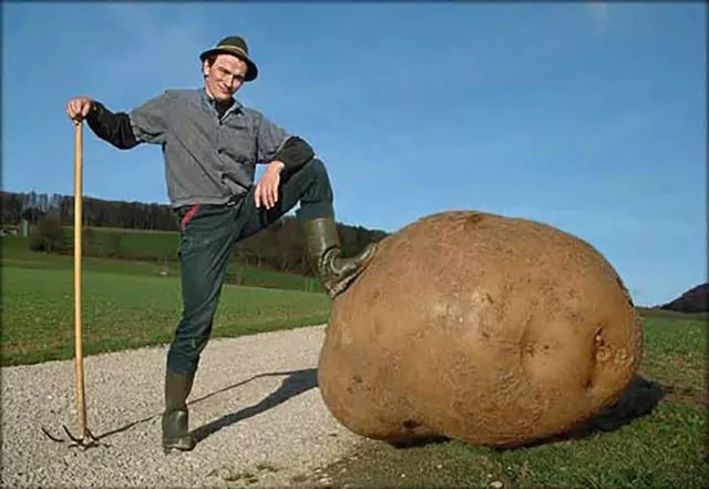 Picdump 68 - #44 